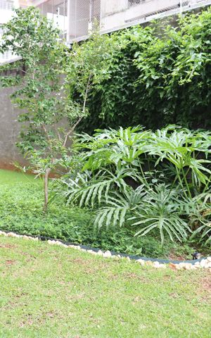 Apartamento à venda com 25m², 1 quarto e sem vagaÁrea Comum