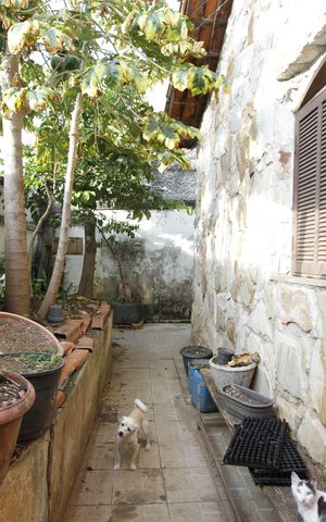 Casa à venda com 150m², 5 quartos e 2 vagasJardim