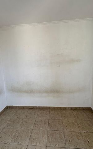 Apartamento à venda com 77m², 3 quartos e 1 vaga