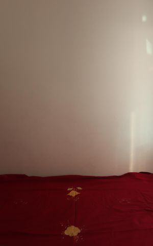 Apartamento à venda com 39m², 2 quartos e sem vagaQuarto 2