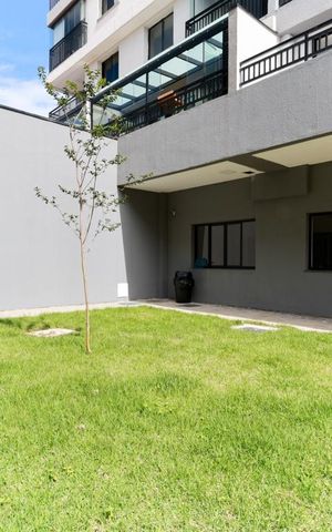 Apartamento para alugar com 31m², 1 quarto e sem vaga Apartamento para alugar com 31m², 1 quarto e sem vagaÁrea comum - Espaço pet
