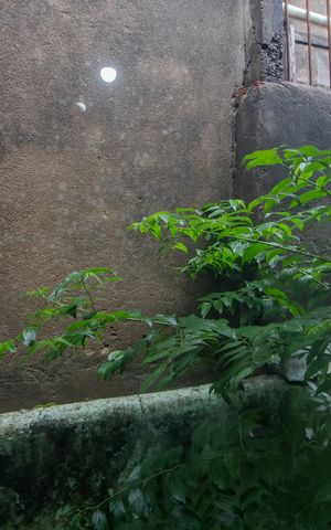 Casa para alugar com 150m², 3 quartos e 1 vaga Casa para alugar com 150m², 3 quartos e 1 vagaVista