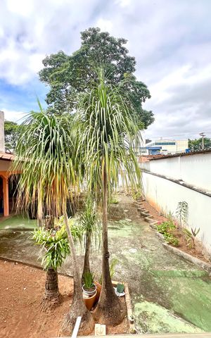 Casa à venda com 400m², 5 quartos e 3 vagas