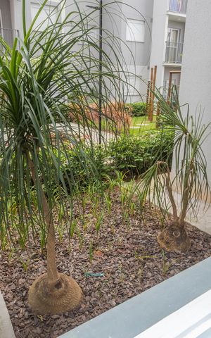 Apartamento para alugar com 37m², 2 quartos e sem vagaVista do Quarto 1