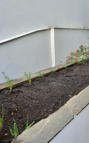 Apartamento à venda com 120m², 4 quartos e 2 vagas Apartamento à venda com 120m², 4 quartos e 2 vagasÁrea Comum - Horta