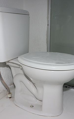 Apartamento à venda com 40m², 2 quartos e 1 vagaBanheiro 