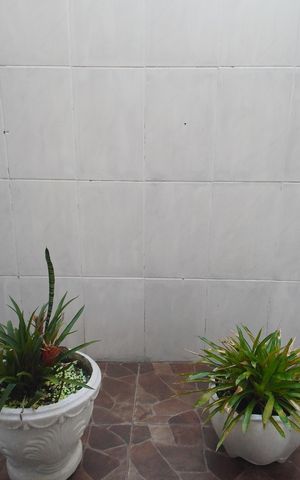Casa à venda com 186m², 3 quartos e 2 vagasÁrea comum