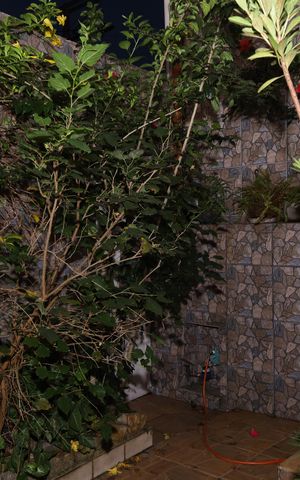 Casa à venda com 400m², 5 quartos e 6 vagasJardim