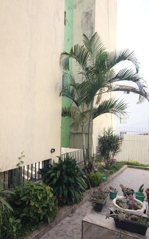 Apartamento à venda com 63m², 3 quartos e 1 vagaÁrea comum