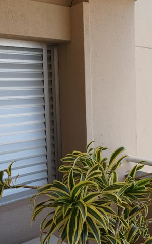 Apartamento à venda com 190m², 3 quartos e 4 vagasSacada sala