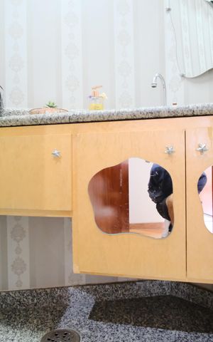 Apartamento à venda com 113m², 3 quartos e 3 vagasLavabo