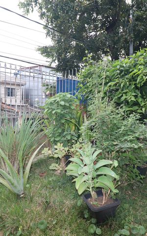 Casa à venda com 120m², 3 quartos e 1 vagaJardim