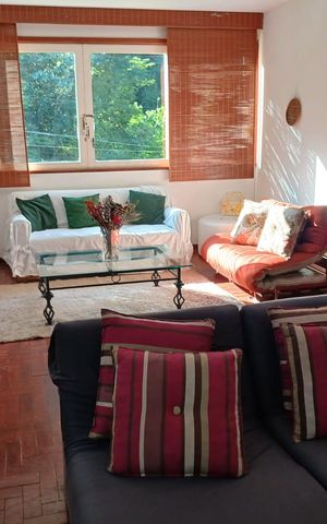 Casa para alugar com 385m², 5 quartos e 3 vagas Casa para alugar com 385m², 5 quartos e 3 vagasSala