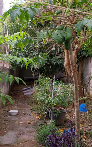 Casa à venda com 70m², 1 quarto e 1 vaga Casa à venda com 70m², 1 quarto e 1 vagaÁrea comum