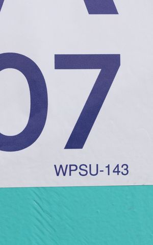 Casa para alugar com 173m², 3 quartos e 2 vagasPlaca instalada no portão do imóvel - Código da placa: WPSU-143
