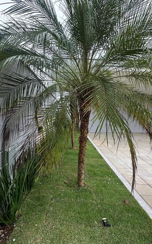 Casa de condomínio à venda com 323m², 4 quartos e 6 vagas Casa de condomínio à venda com 323m², 4 quartos e 6 vagasFachada