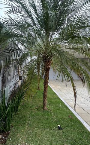 Casa de condomínio à venda com 323m², 4 quartos e 6 vagas Casa de condomínio à venda com 323m², 4 quartos e 6 vagasFachada