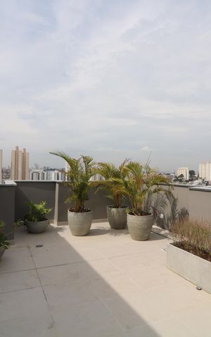 Apartamento para alugar com 38m², 2 quartos e sem vagaÁrea comum - Churrasqueira