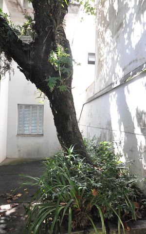 Casa à venda com 300m², 4 quartos e 2 vagasVista do Quarto- Edícula
