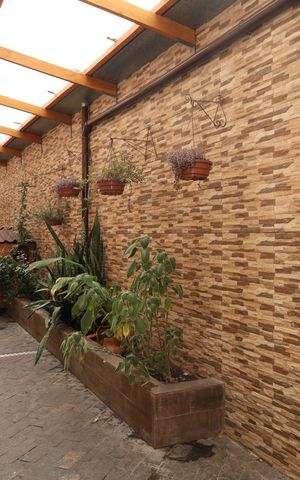 Casa para alugar com 300m², 6 quartos e 3 vagasQuintal