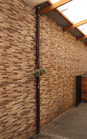 Casa para alugar com 300m², 6 quartos e 3 vagasQuintal