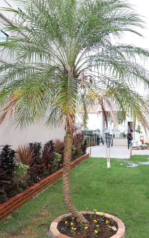 Apartamento à venda com 35m², 2 quartos e sem vagaÁrea comum