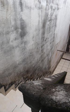 Casa à venda com 199m², 4 quartos e 2 vagasAcesso casa 2