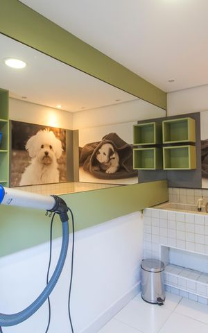 Apartamento à venda com 107m², 3 quartos e 2 vagasEspaço Pet