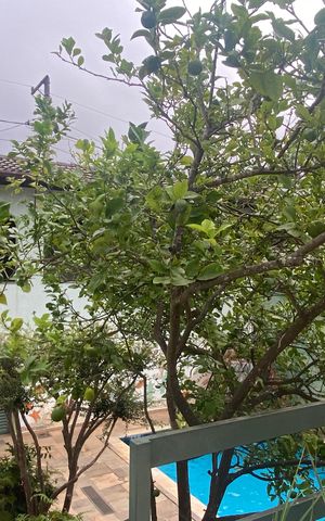 Casa à venda com 500m², 2 quartos e 6 vagasÁrea comum
