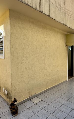 Casa à venda com 480m², 5 quartos e 4 vagas Casa à venda com 480m², 5 quartos e 4 vagasQuintal Fundos