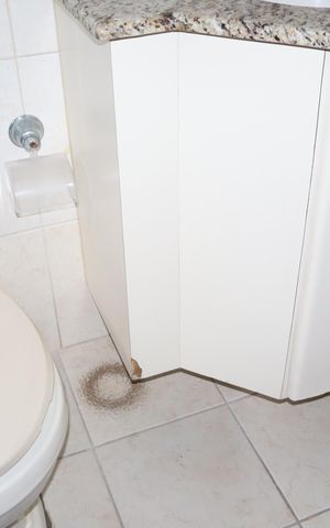 Casa à venda com 250m², 3 quartos e 2 vagasBanheiro 1