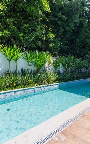 Studio para alugar com 31m², 1 quarto e sem vaga Studio para alugar com 31m², 1 quarto e sem vagaÁrea comum - Piscina