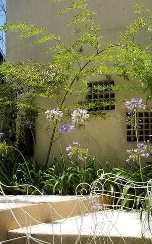 Casa para alugar com 800m², 4 quartos e 6 vagas Casa para alugar com 800m², 4 quartos e 6 vagasÁrea externa