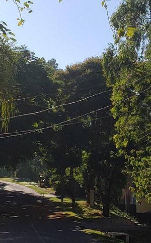 Casa para alugar com 800m², 4 quartos e 6 vagas Casa para alugar com 800m², 4 quartos e 6 vagasÁrea externa