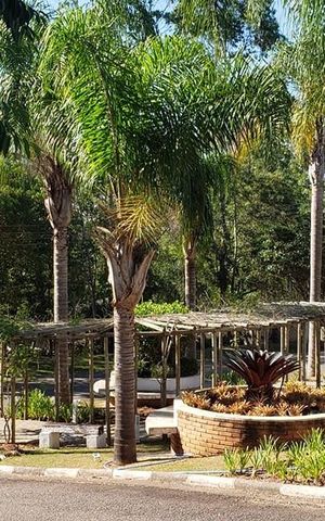 Casa para alugar com 800m², 4 quartos e 6 vagas Casa para alugar com 800m², 4 quartos e 6 vagasÁrea externa