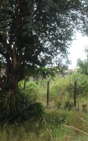 Casa à venda com 600m², 4 quartos e 2 vagasJardim
