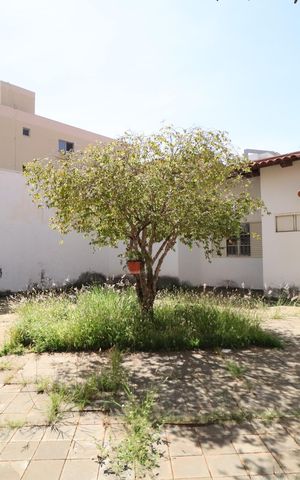 Casa para alugar com 197m², 4 quartos e 3 vagasQuintal