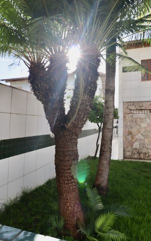 Casa de condomínio para alugar com 90m², 3 quartos e 1 vaga Casa de condomínio para alugar com 90m², 3 quartos e 1 vagaÁrea comum - Piscina