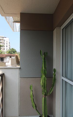 Apartamento para alugar com 65m², 2 quartos e 1 vagaSala - Varanda