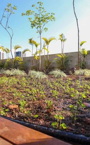 Apartamento para alugar com 73m², 2 quartos e 2 vagas Apartamento para alugar com 73m², 2 quartos e 2 vagasÁrea externa