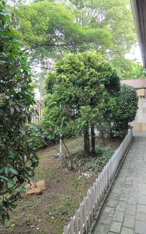 Casa para alugar com 401m², 4 quartos e 5 vagas Casa para alugar com 401m², 4 quartos e 5 vagasJardim