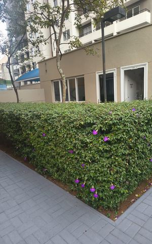 Apartamento para alugar com 33m², 1 quarto e sem vagaÁrea Externa
