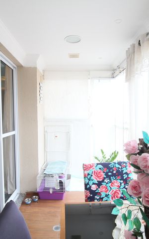 Apartamento para alugar com 45m², 1 quarto e 1 vagaVaranda