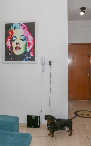 Apartamento à venda com 74m², 2 quartos e sem vagaSala