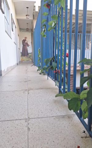 Apartamento para alugar com 50m², 2 quartos e 1 vaga