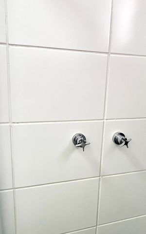 Apartamento para alugar com 66m², 2 quartos e 1 vaga Apartamento para alugar com 66m², 2 quartos e 1 vagaBanheiro 1