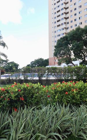Apartamento para alugar com 70m², 2 quartos e 1 vaga Apartamento para alugar com 70m², 2 quartos e 1 vagaJardim