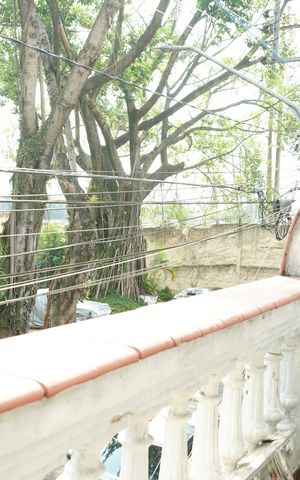 Casa para alugar com 105m², 3 quartos e 2 vagasVaranda Quarto 1
