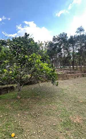 Casa de condomínio à venda com 4203m², 5 quartos e 16 vagas Casa de condomínio à venda com 4203m², 5 quartos e 16 vagasQuintal