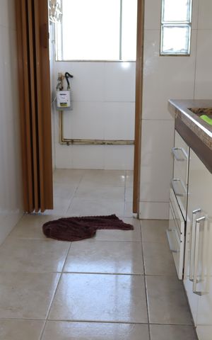 Apartamento à venda com 55m², 3 quartos e 1 vagaCozinha